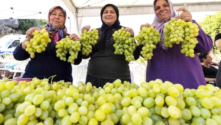 Mersin Büyükşehir Belediye Başkanı Vahap Seçer, Akdeniz meyve sineğiyle mücadeleye katkı yapacak